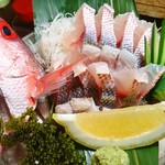 チュラカーギー