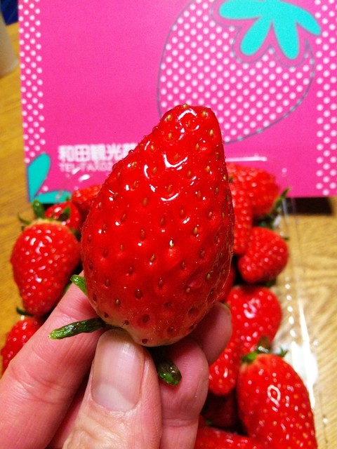 和田観光苺組合 - 相馬（その他）の写真