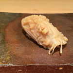 鮨菜 和喜智 - ほっきがい