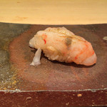 鮨菜 和喜智 - ぼたんえび