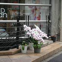 RISTORANTE YAGI - 