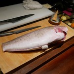 コントワール フー - 