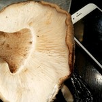 炭焼き成吉思汗 いし田 - 巨大なシイタケ