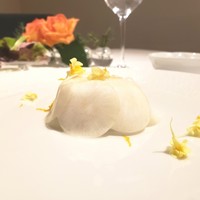 イル コラッツィエーレ - 