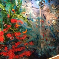 オチェーアノ - 内観1　内観や見える景色、サービスは素晴らしいです☆　2019/02/07