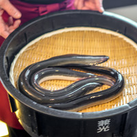 入谷鬼子母神門前のだや - 