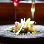 TACUBO - 子持ちの槍烏賊