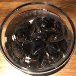 ろっかん - タテボシガイ