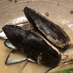 ろっかん - ササノハガイ