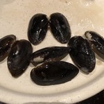 ろっかん - タテボシガイ