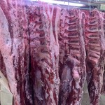 Trattoria dall'Oste - 