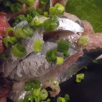 地球食堂 - 秋刀魚