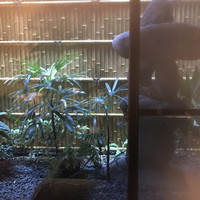 花かぐら - 