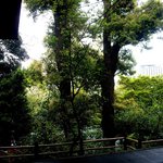 韻松亭 - カウンター席から見える景色