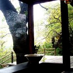 韻松亭 - カウンター席から見える景色