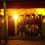 フィッシュ グラウンド - 