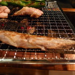 炉ばた雷橋 - 生ししゃも　メスとオスあり