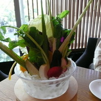 やさい家めい 表参道ヒルズ本家 - 