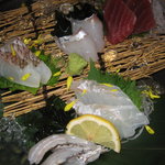 和菜 やなぎ  ふぐ はも - 