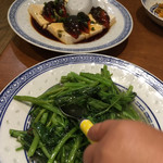 香港麺 新記 三宿本店 - 