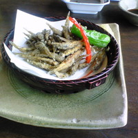 土佐料理 司 阪急グランドビル店 - 