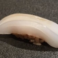 はっこく - 