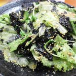 スタミナ苑 - 生野菜サラダ