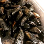 Steamed mussels with pepper