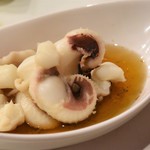 ラボラトリー - 紋甲いか下足