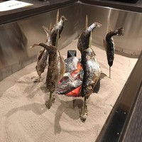 銀座方舟 大吟醸いろり店 - 