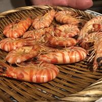 オーパス ワン - 