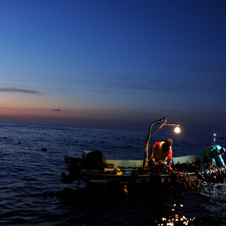 生産者さんの顔が見える食材