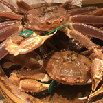 富小路 やま岸 - 松葉蟹