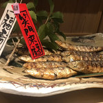 富小路 やま岸 - 鰯