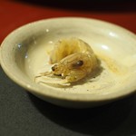 泳ぎいか・ふぐ・いわし・大阪懐石料理・遊食遊膳 笹庵 - 