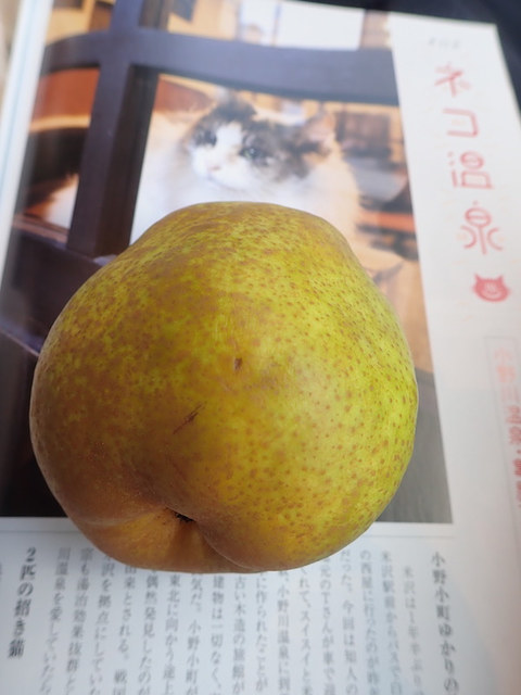 まるつね果樹園 - 天童南（その他）の写真