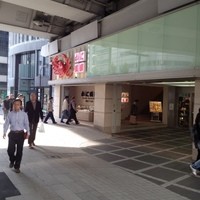 かに道楽 銀座八丁目店 - 