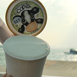 牛窓ジェラート工房 コピオ_0