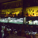 バー マニフィック - 素敵なバックバーです