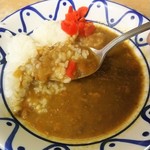 ねぎどん - 出汁の旨味と甘味のカレー！