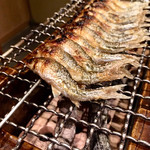 松川 - モロコーーー