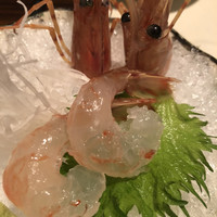 まある - 活ボタン