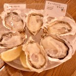 オストレア oysterbar&restaurant  - 