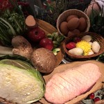 オッジ ダルマット - 