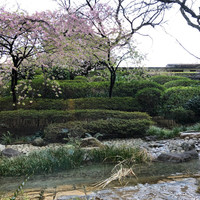 チリエージョ - 