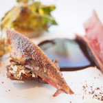 エスキス - フランス産鳩