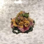 エクアトゥール - 