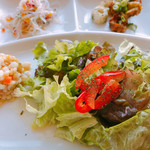 Borukano - 前菜プレート
                        春雨サラダ、ちくわの揚物カレー風味
                        もち麦サラダ、野菜サラダ