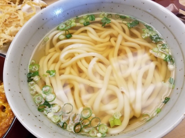 斎藤うどん店 - 平泉（うどん）の写真