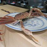 銀座 やまの辺 江戸中華 - 活きタラバガニ